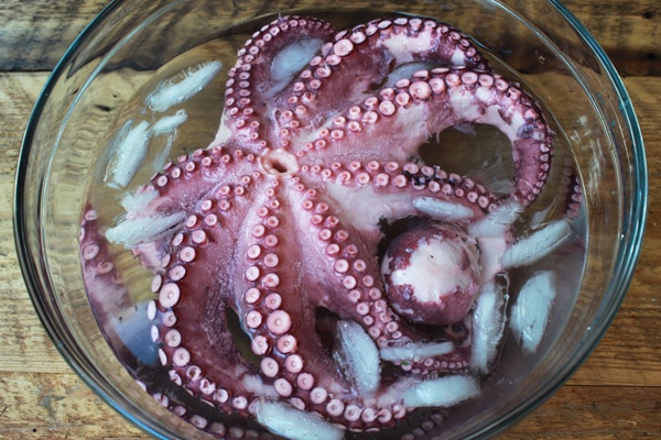 A whole cooked octopus in an ice bath in a large clear bowl on top of a wooden board.