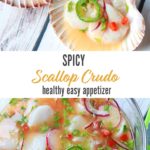 spicy scallop ceviche presented in a shell bowl