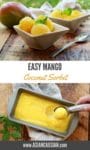 mango coconut sorbet in white bowls and being scooped from a pan