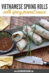 Fresh Vietnamese spring rolls on a gray platter with a peanut sauce on the side on top of a wooden board.