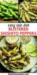 Blistered shishito peppers on a white plate with lime wedges, aioli dipping sauce, and sesame seeds on the side.