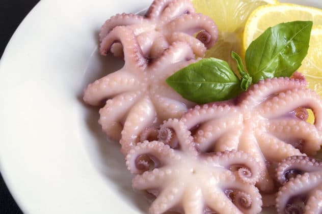 Cooked baby octopus in a white bowl with a sprig of basil and sliced lemons on top.