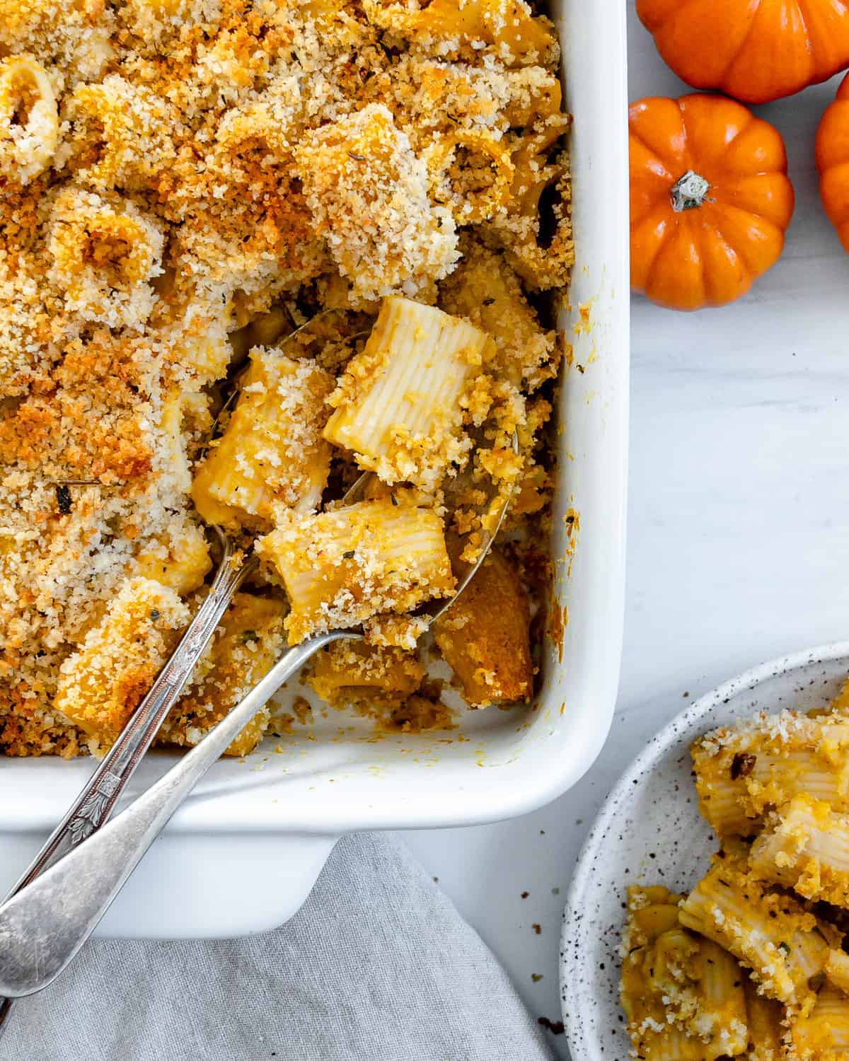 Pumpkin pasta baked in a white casserole dish with baby pumpkins on the side.