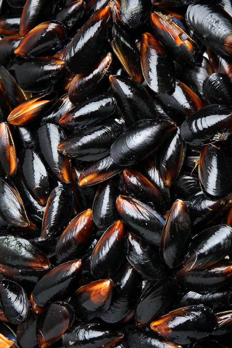 Closeup shot of uncooked raw mussels piled together.