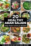 A roundup picture collage of 20 easy and healthy Asian salads.